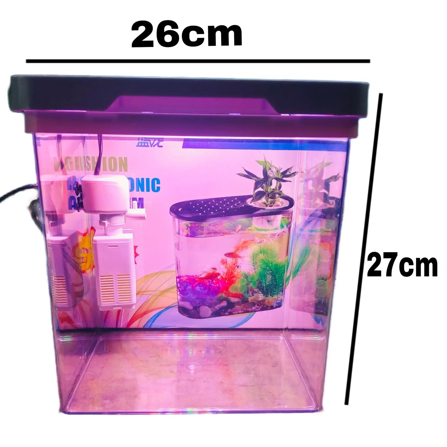 fish aquarium with filter light jyoti aquarium pets