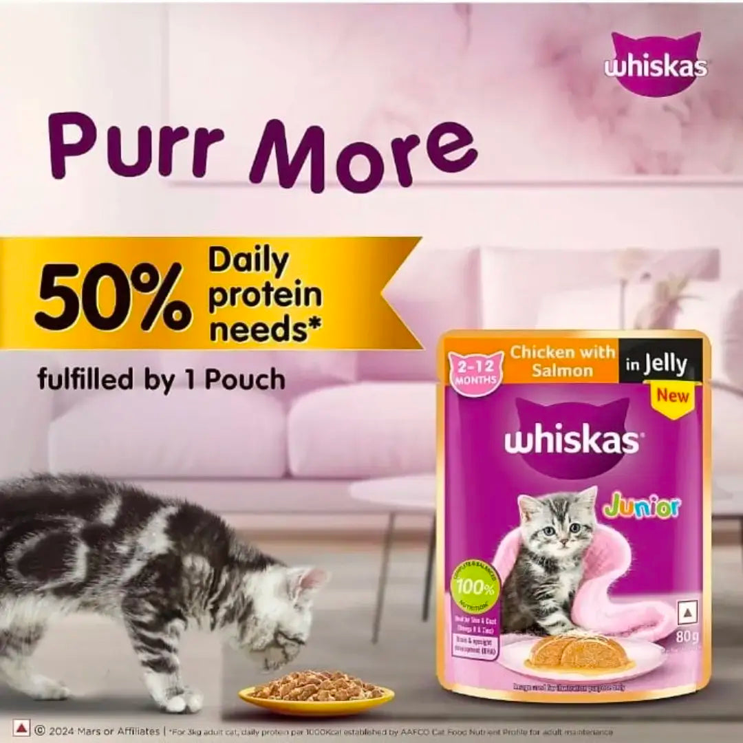 Whiskas Junior Kitten Wet Cat Food Chicken with Salmon in Jelly 10 piece jyoti aquarium pets