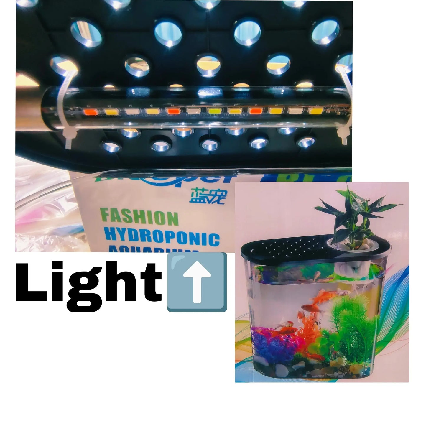 fish aquarium with light jyoti aquarium pets