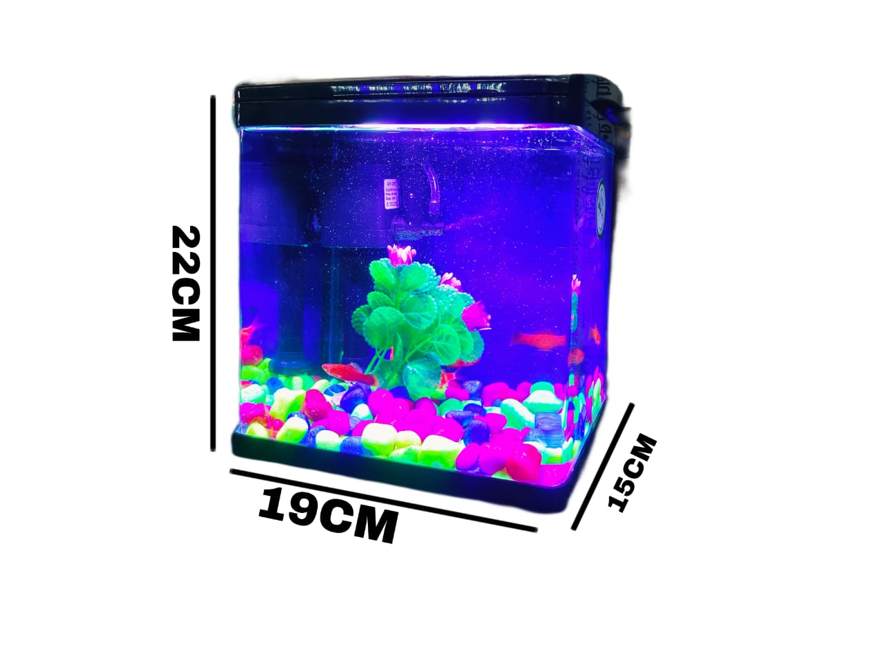 Imported Molded Aquarium