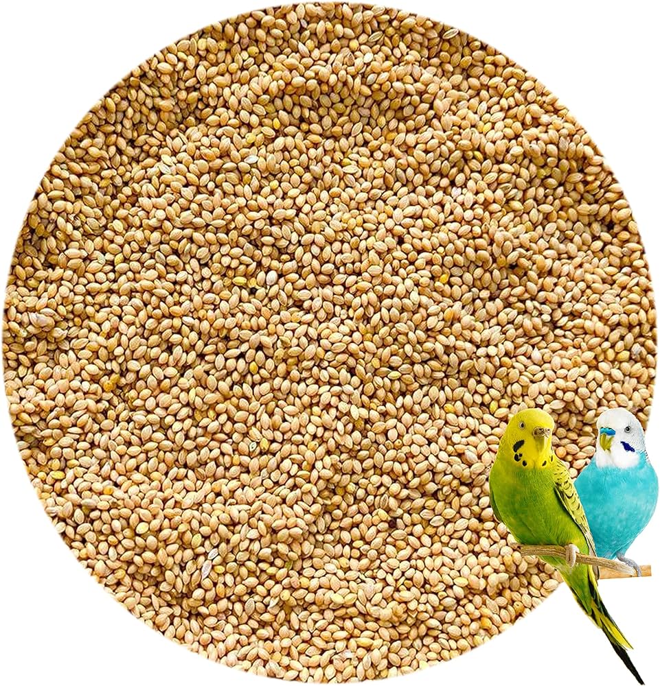 birds food 500g jyoti aquarium pets