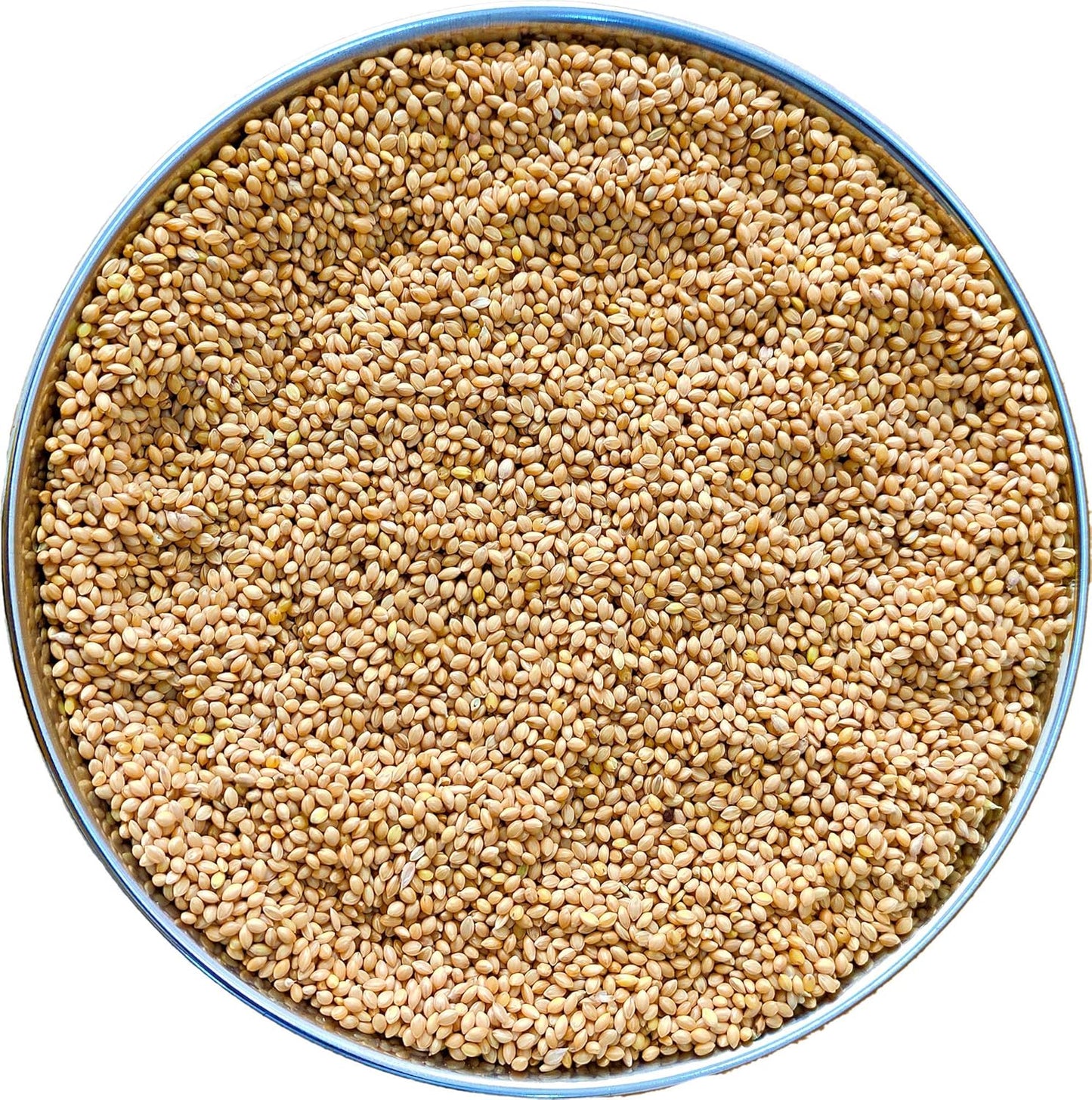 birds food 500g jyoti aquarium pets
