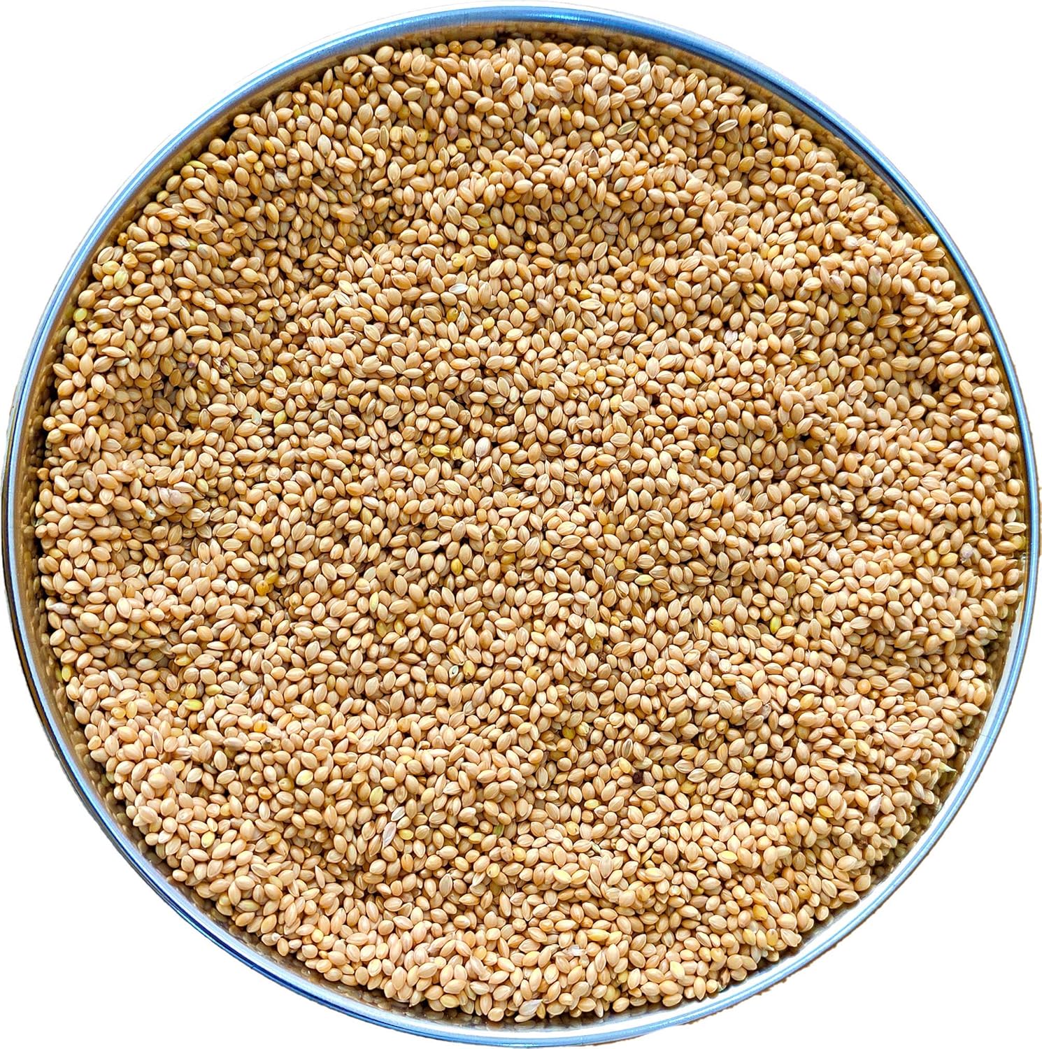 birds food 500g jyoti aquarium pets