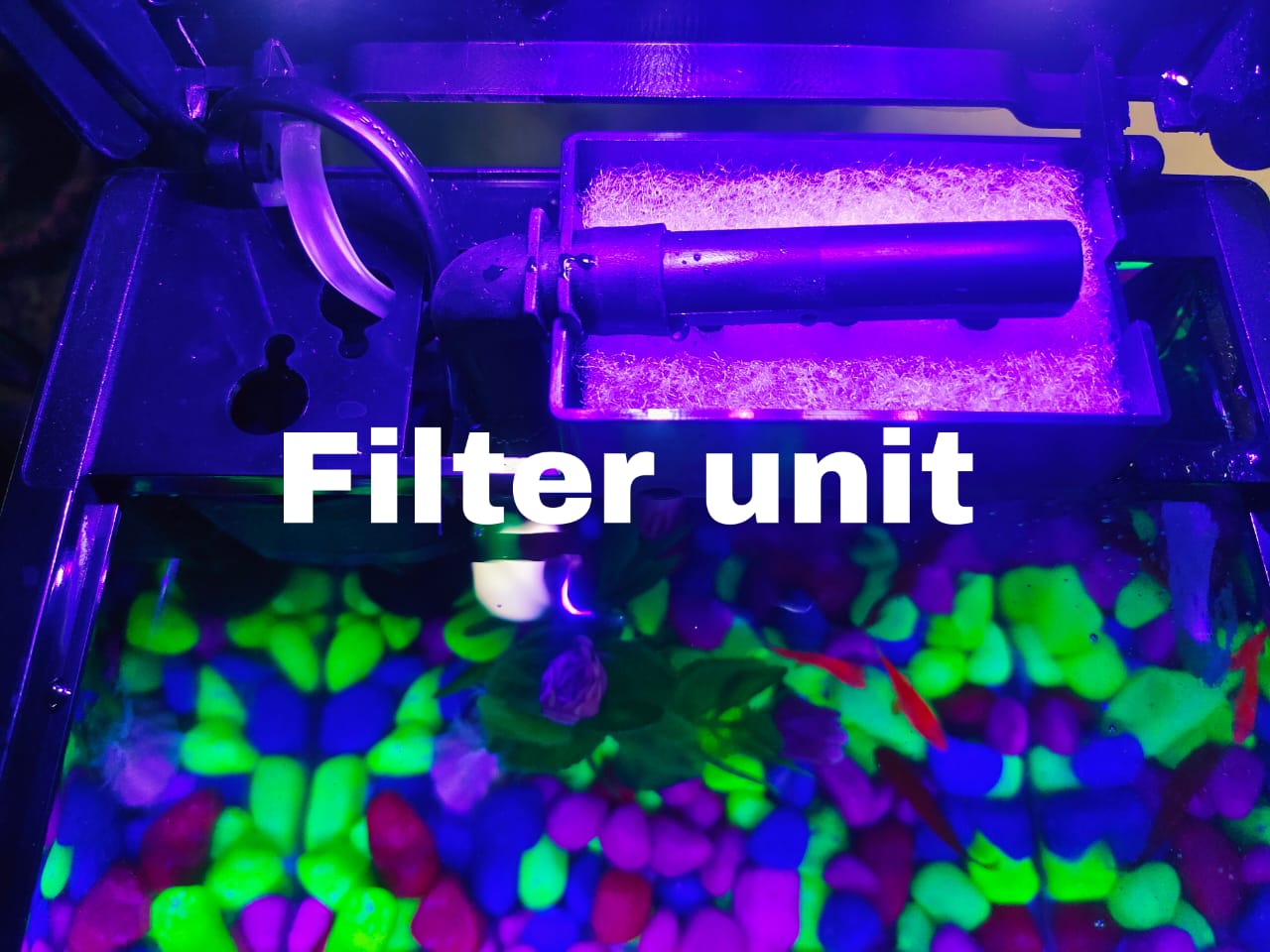 Imported Molded Aquarium
