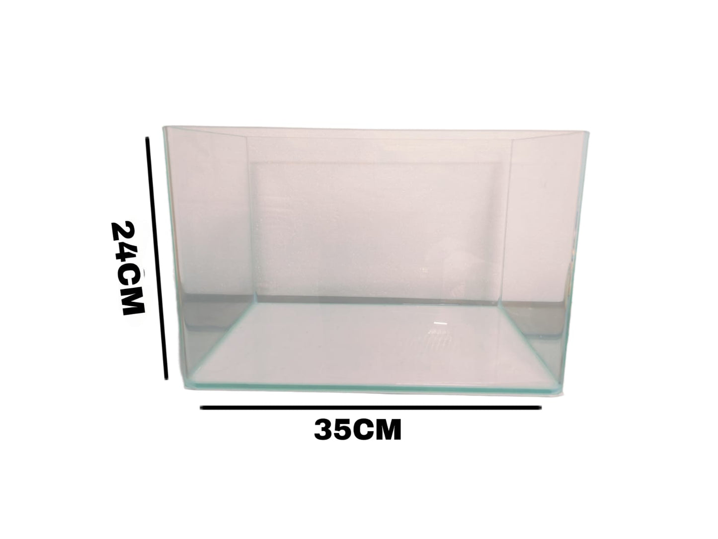 Aquarium tank
fish Aquarium