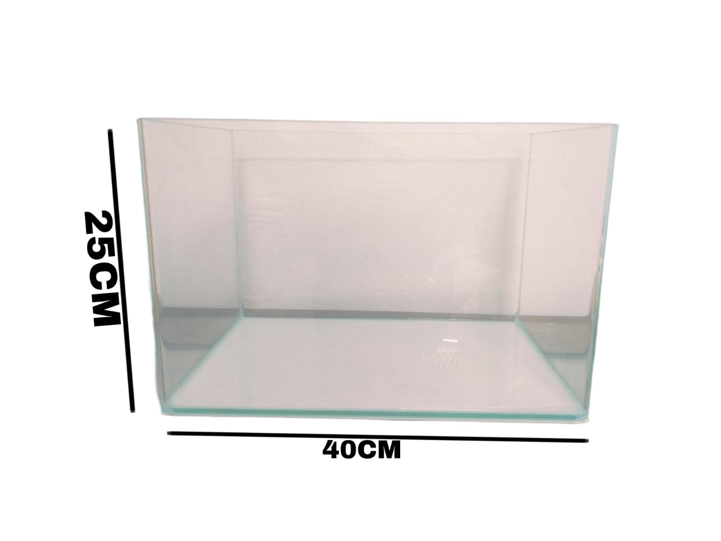 fish Aquarium