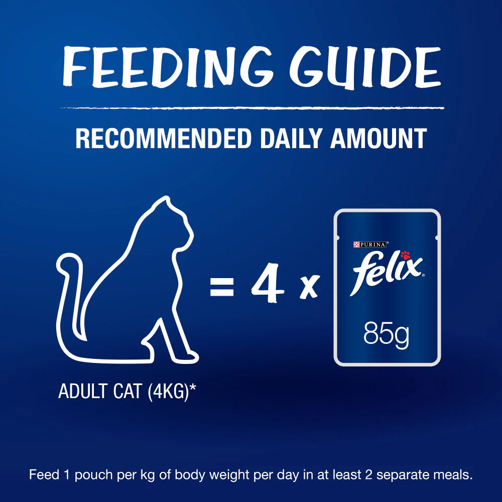 Purina Felix Chicken with Jelly Adult Cat Wet Food 12 pouch jyoti aquarium pets