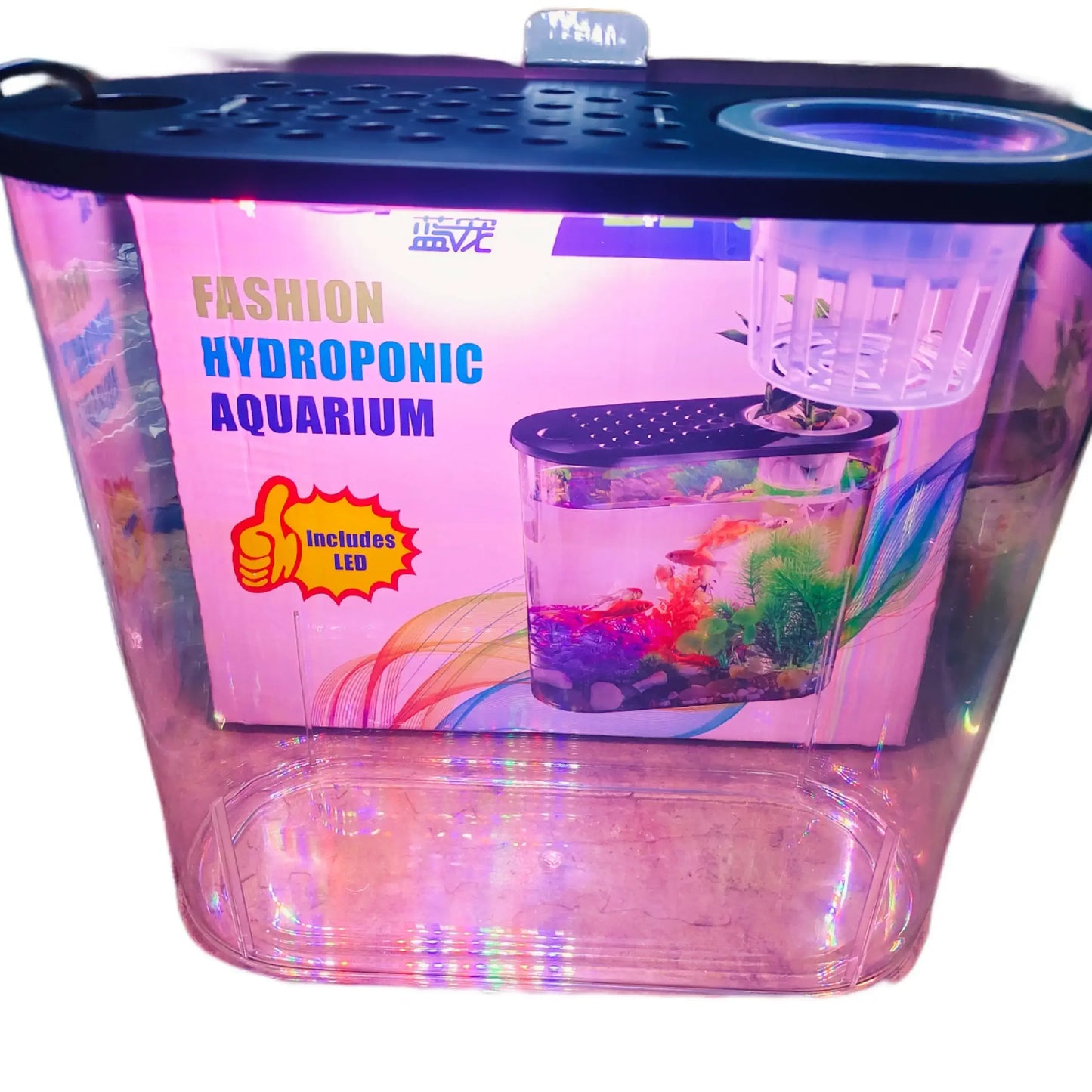 fish aquarium with light jyoti aquarium pets