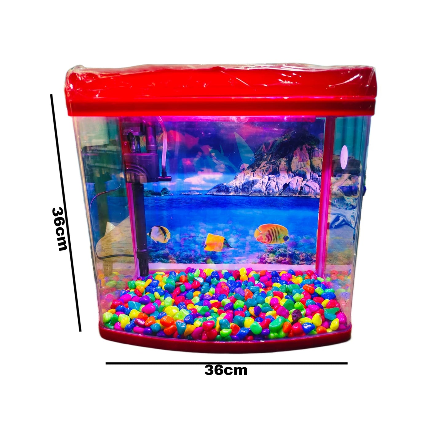 Imported Aquarium jyoti aquarium pets