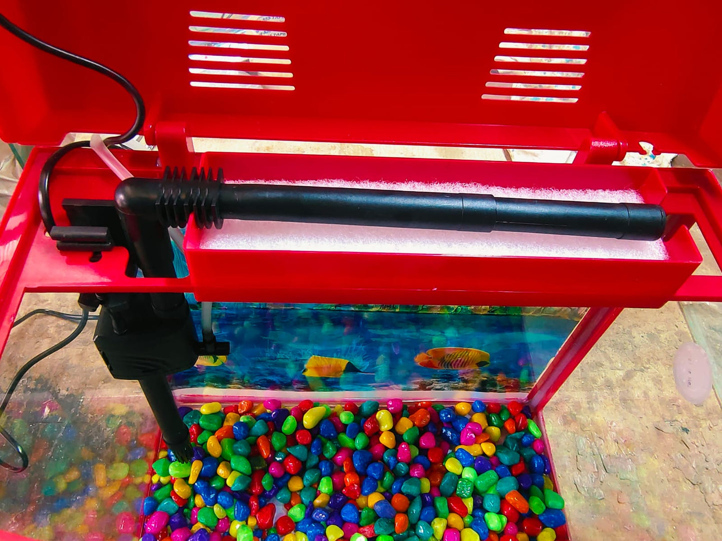 Imported Aquarium jyoti aquarium pets
