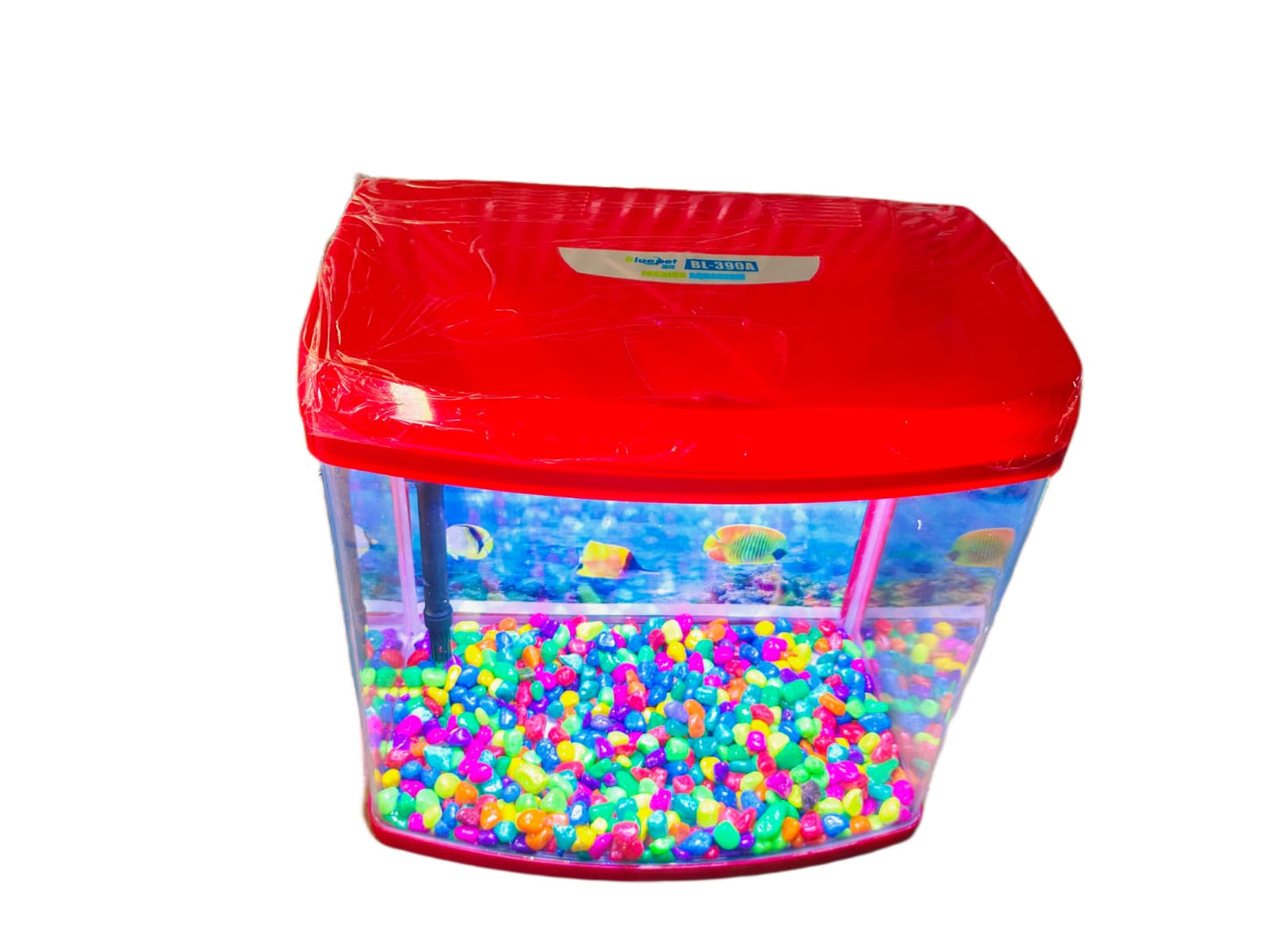 Imported Aquarium jyoti aquarium pets