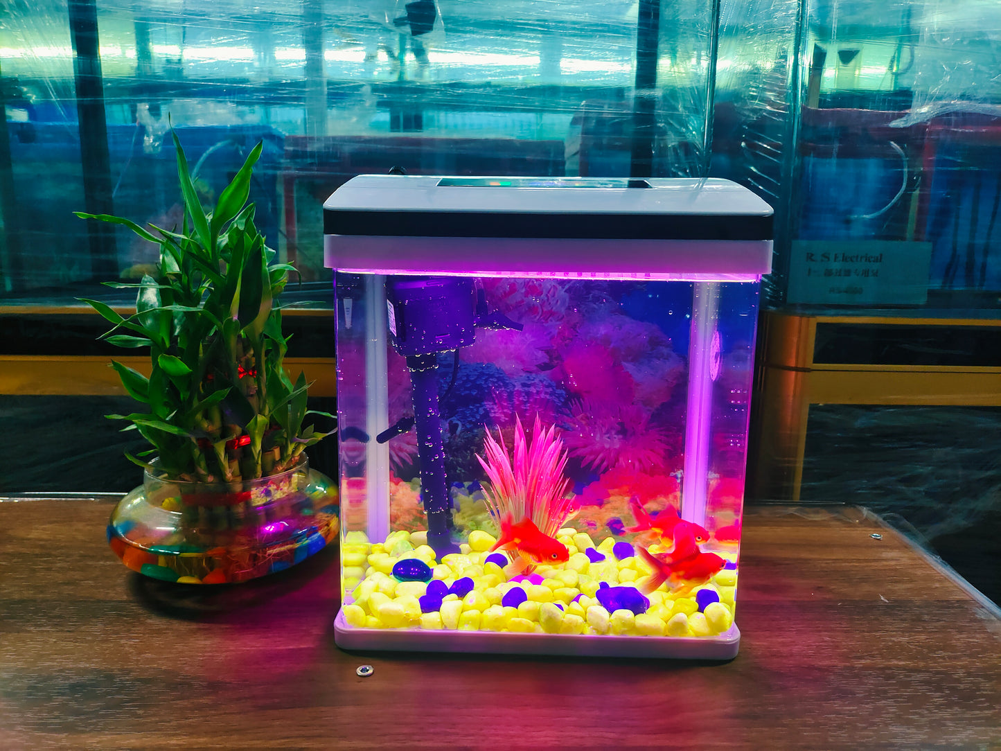 Digital fish tank