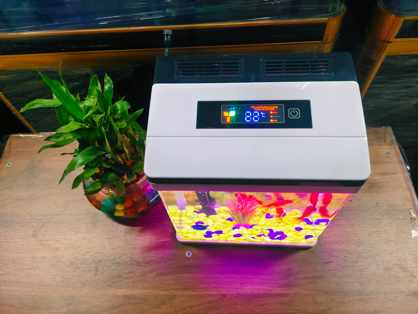 Digital fish tank
