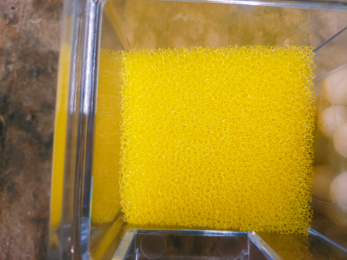 Multi Section Bio Top Filter 4W