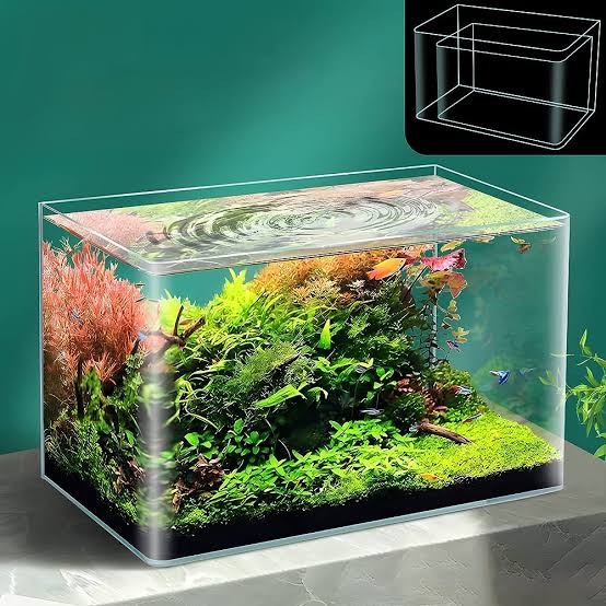 High Quality Curved Aquarium Glass 40CM