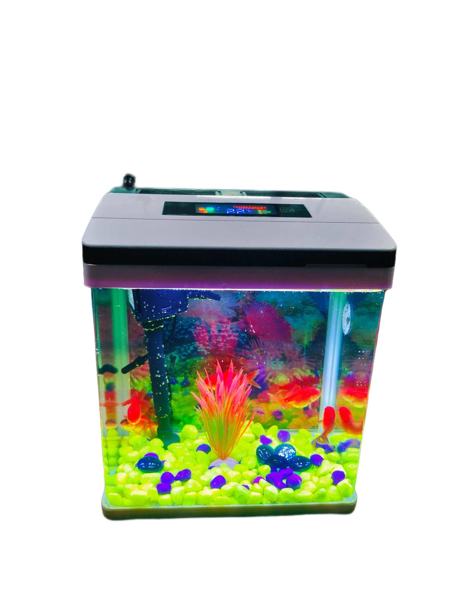 Digital fish tank