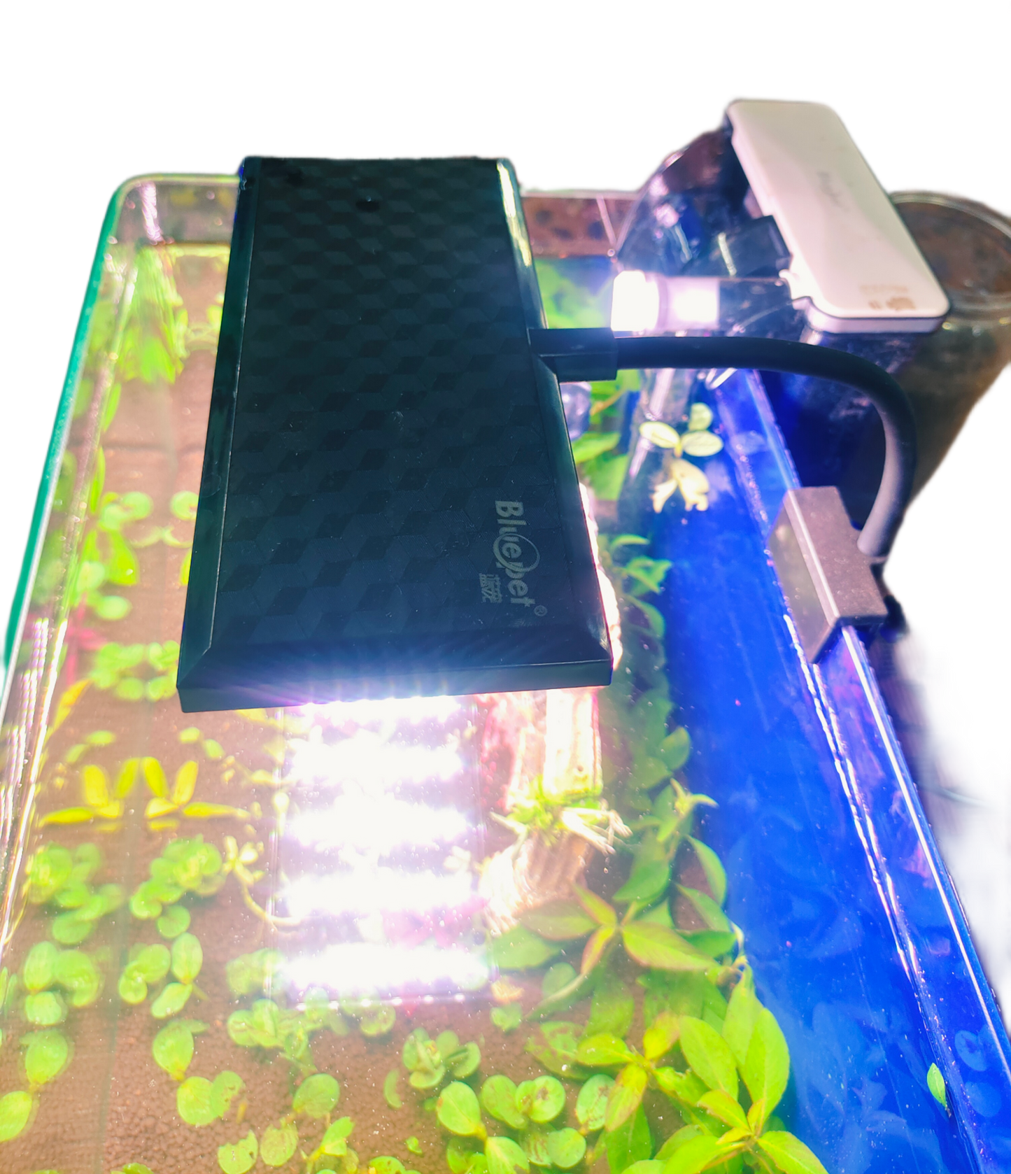 WRGB High Penetration Aquarium Light