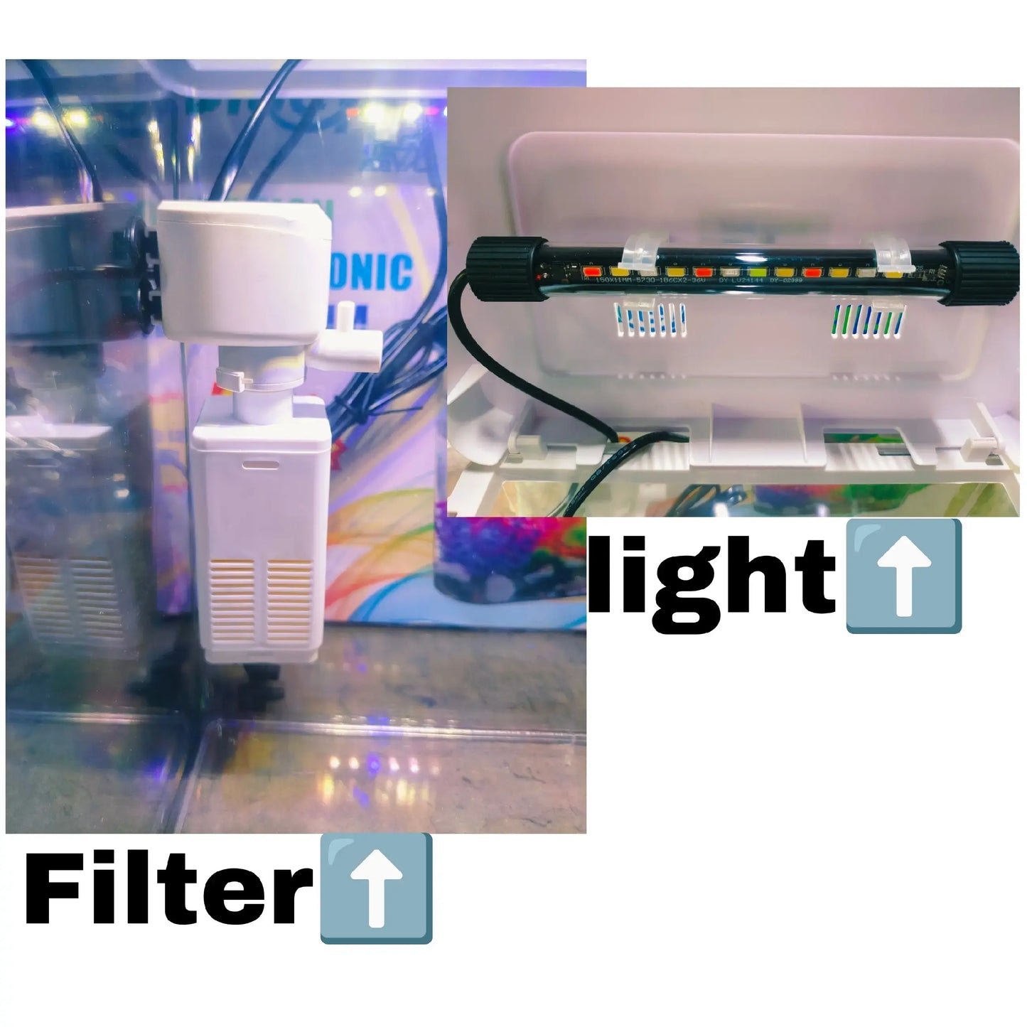 fish aquarium with filter light jyoti aquarium pets