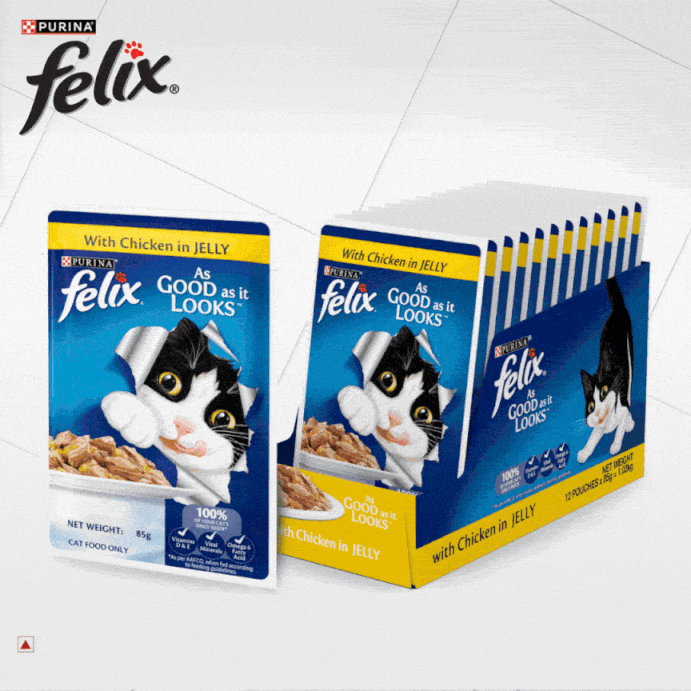 Purina Felix Chicken with Jelly Adult Cat Wet Food 12 pouch jyoti aquarium pets