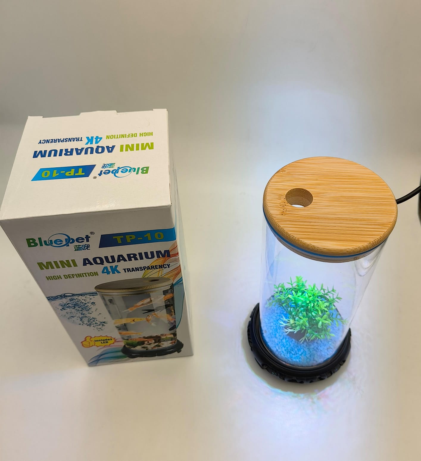 Mini Aquarium jyoti aquarium pets