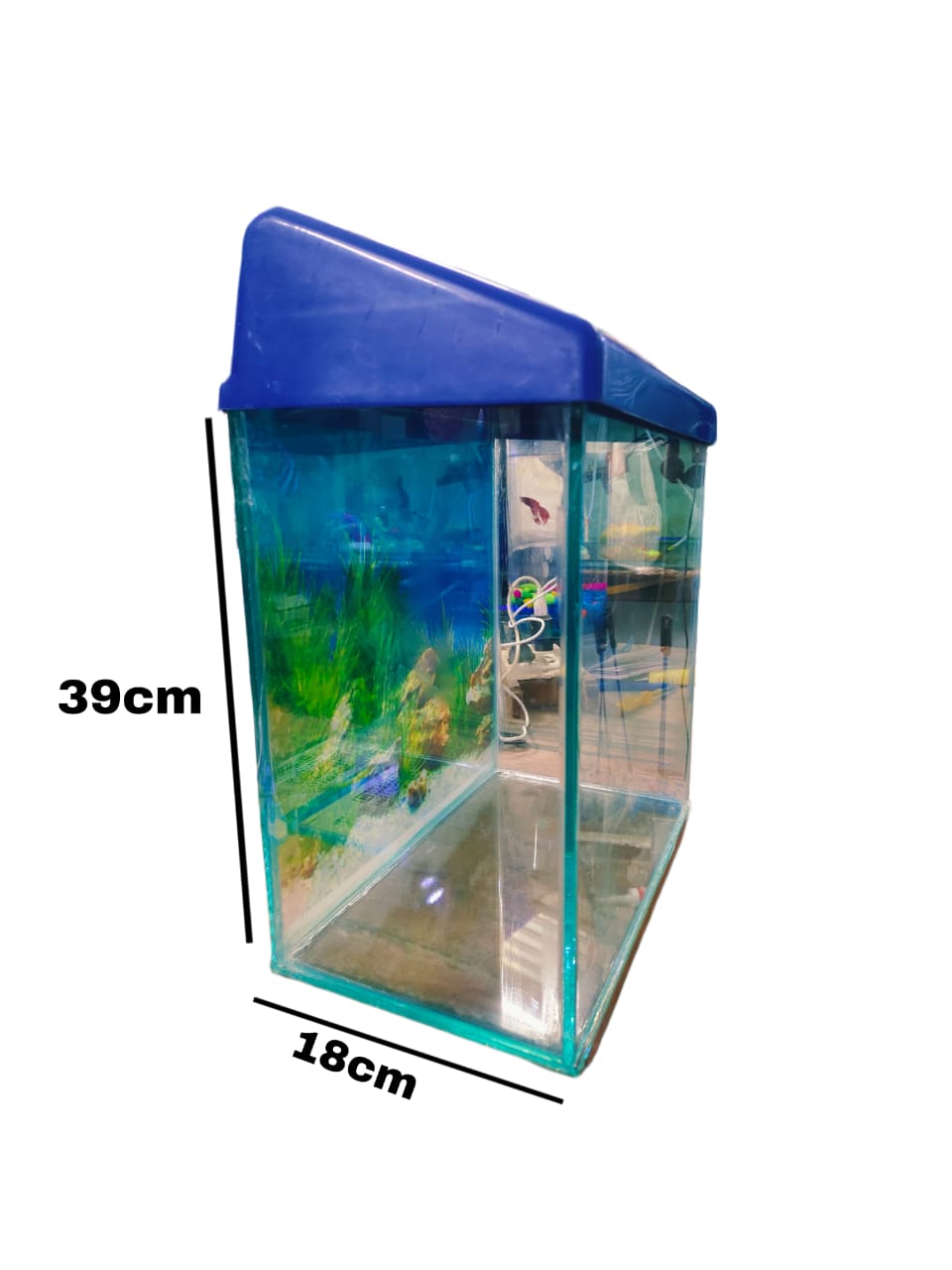 Glass Aquarium jyoti aquarium pets