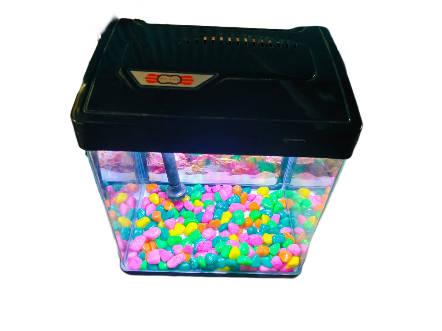 Imported Aquarium jyoti aquarium pets