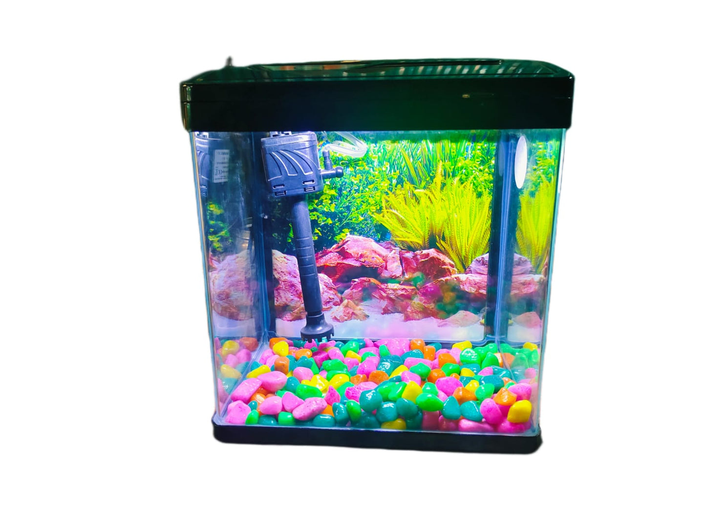 Imported Aquarium jyoti aquarium pets