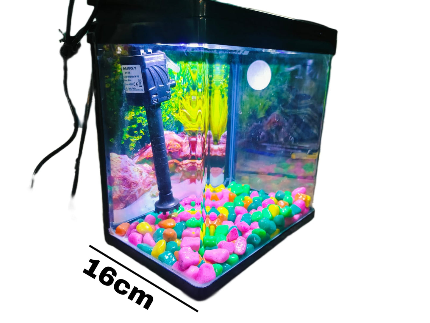 Imported Aquarium jyoti aquarium pets
