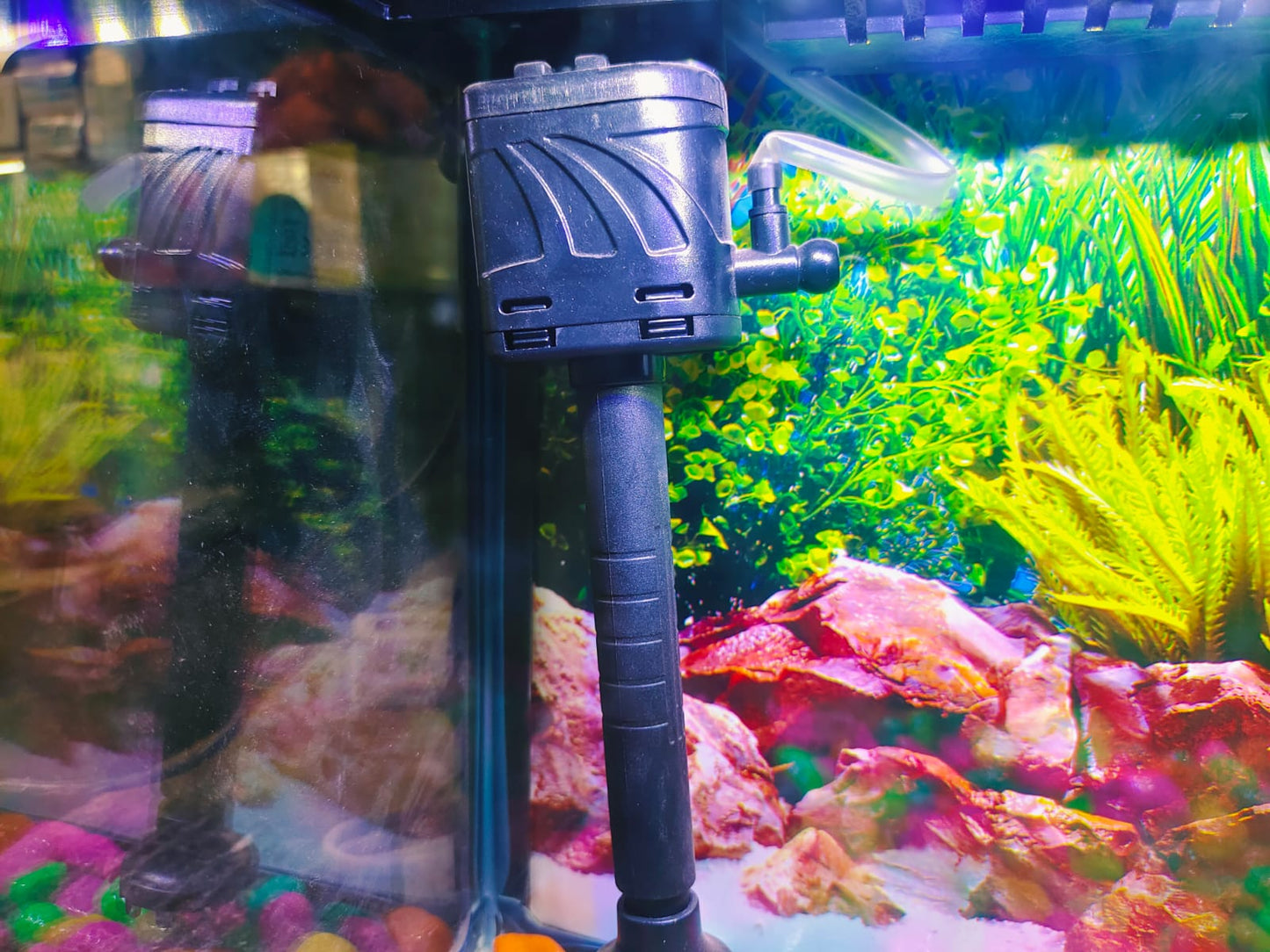 Imported Aquarium jyoti aquarium pets