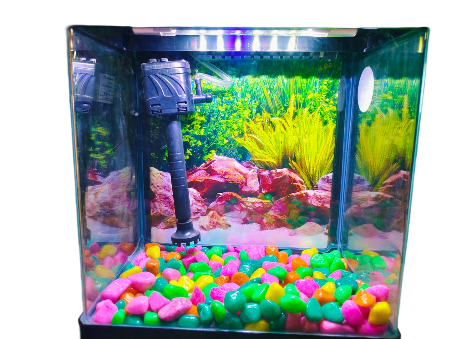 Imported Aquarium jyoti aquarium pets