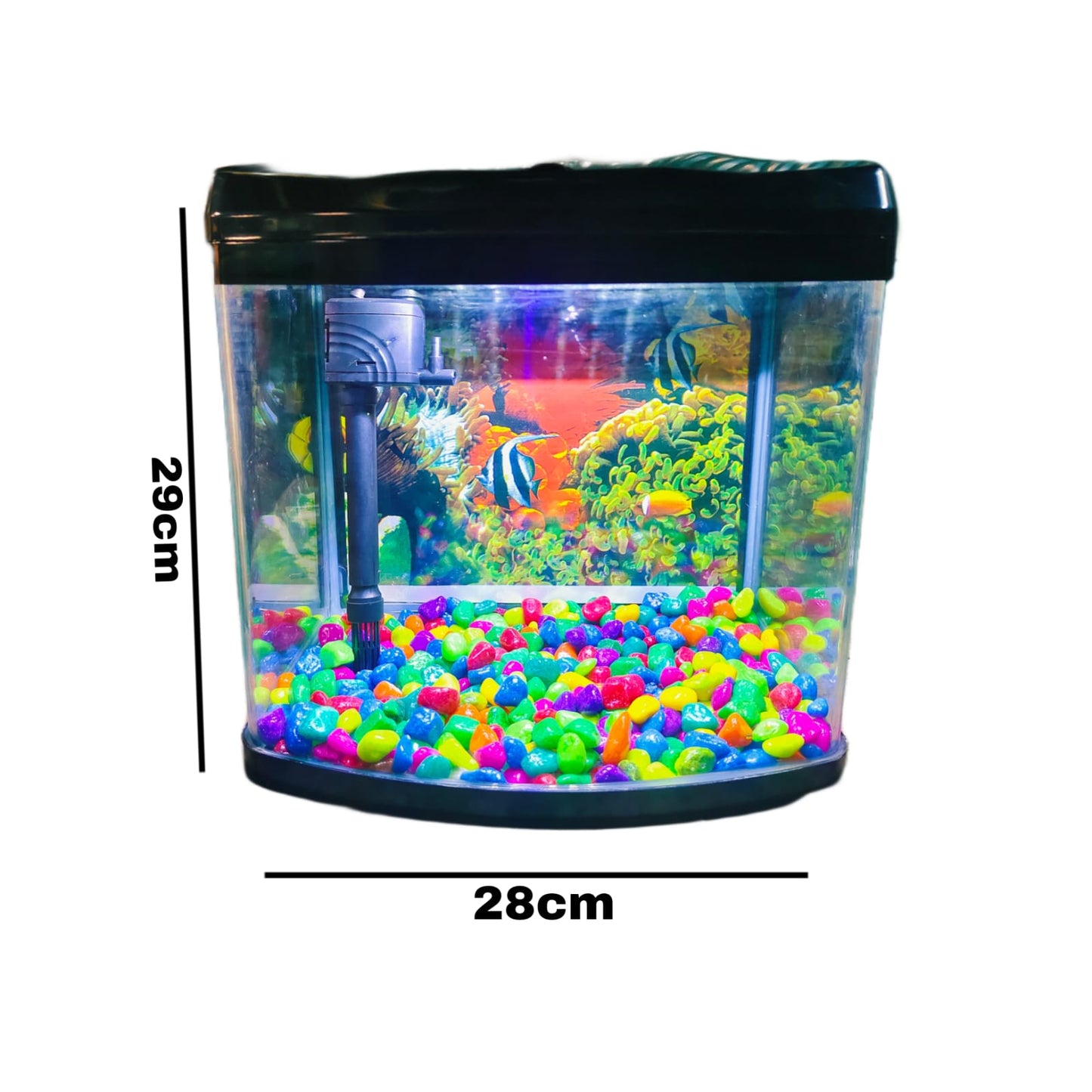 Imported Aquarium jyoti aquarium pets