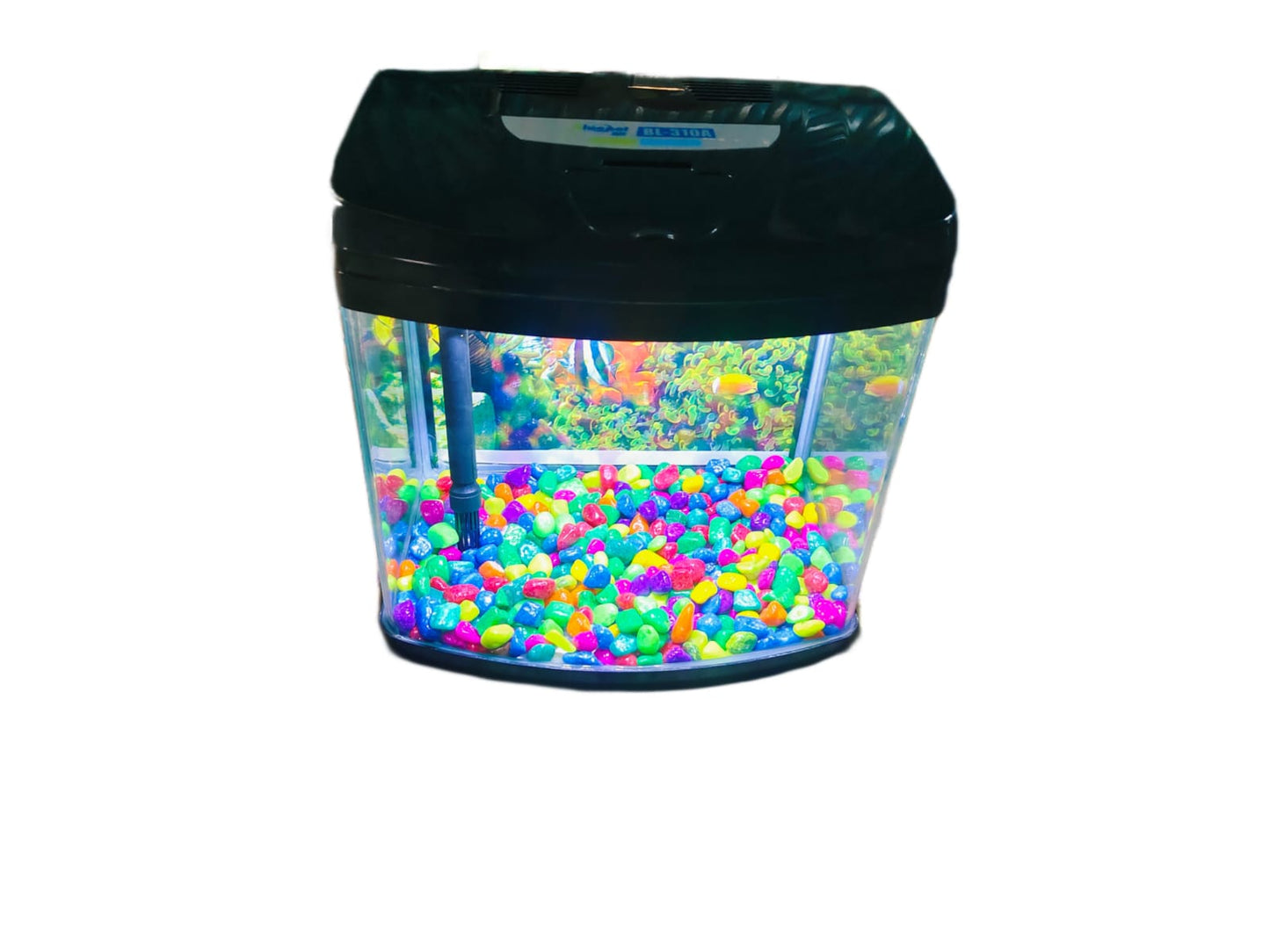Imported Aquarium jyoti aquarium pets