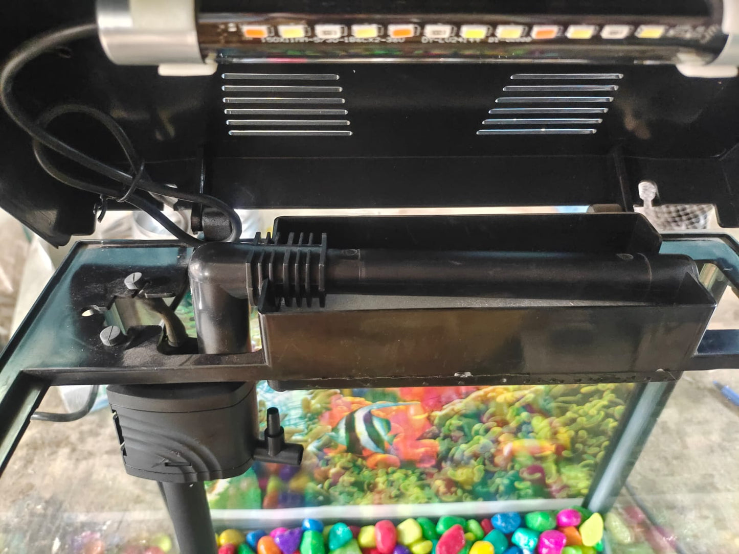 Imported Aquarium jyoti aquarium pets