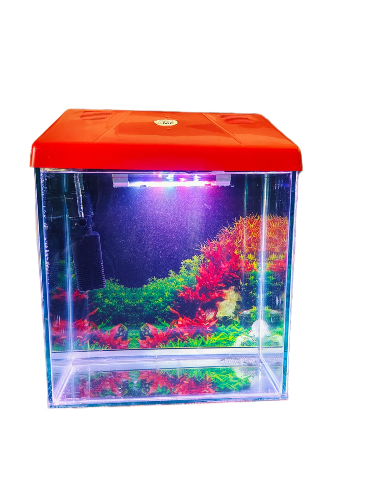 Glass Aquarium Combo