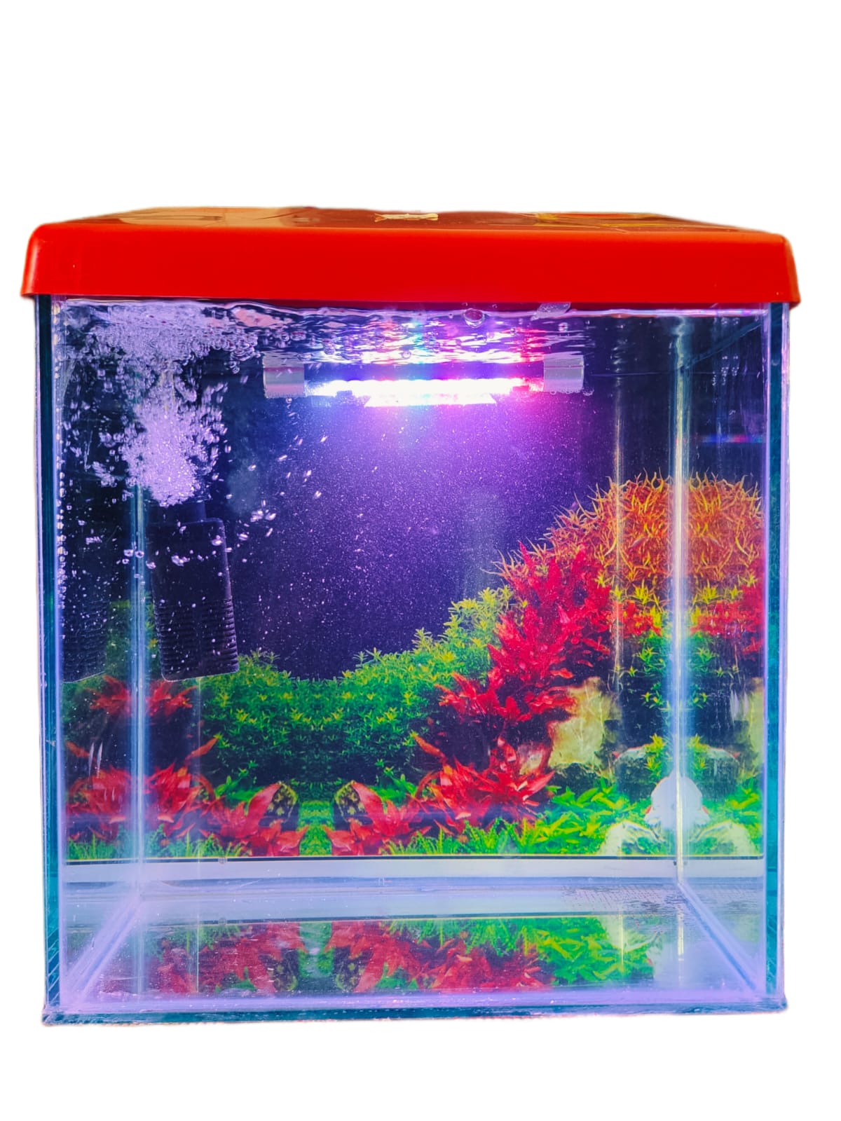Glass Aquarium Combo