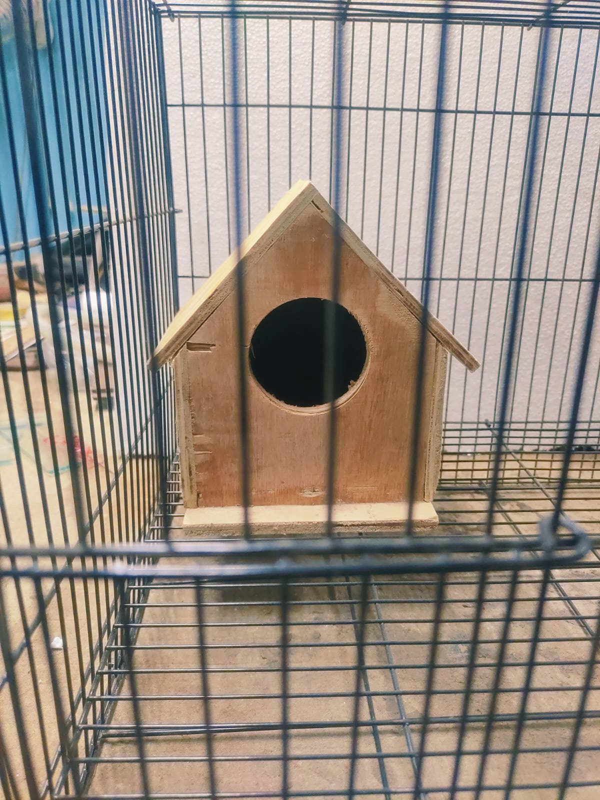 Bird breeding box