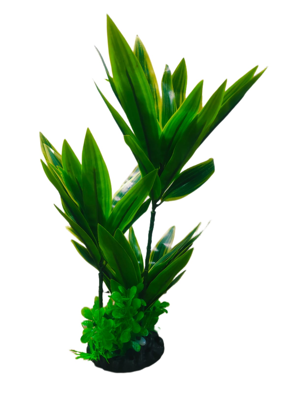 Aquarium Plant Y02
