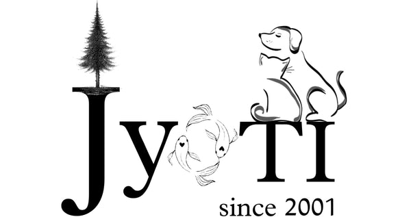 jyoti aquarium pets