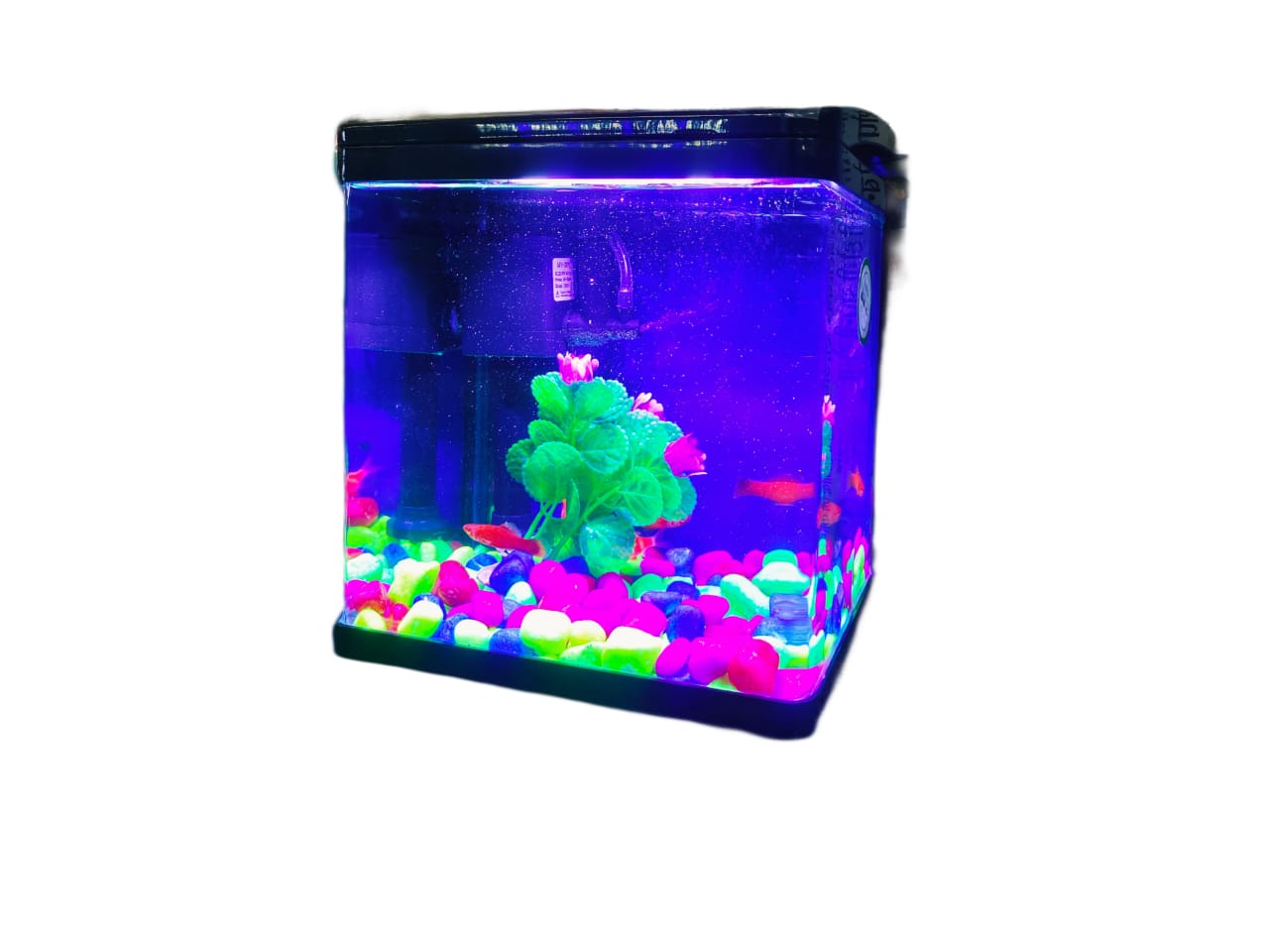Imported Molded Aquarium