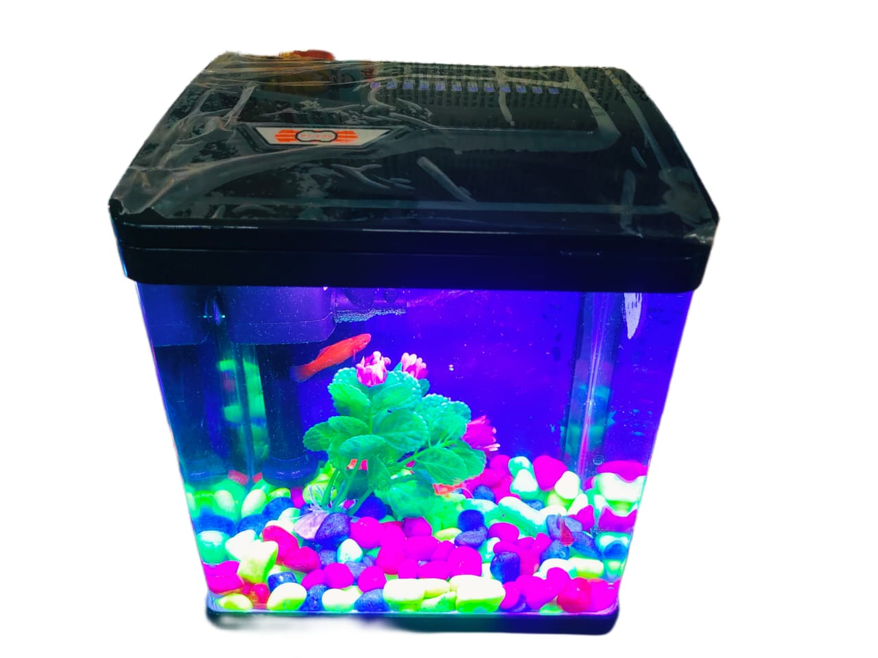 Imported Molded Aquarium