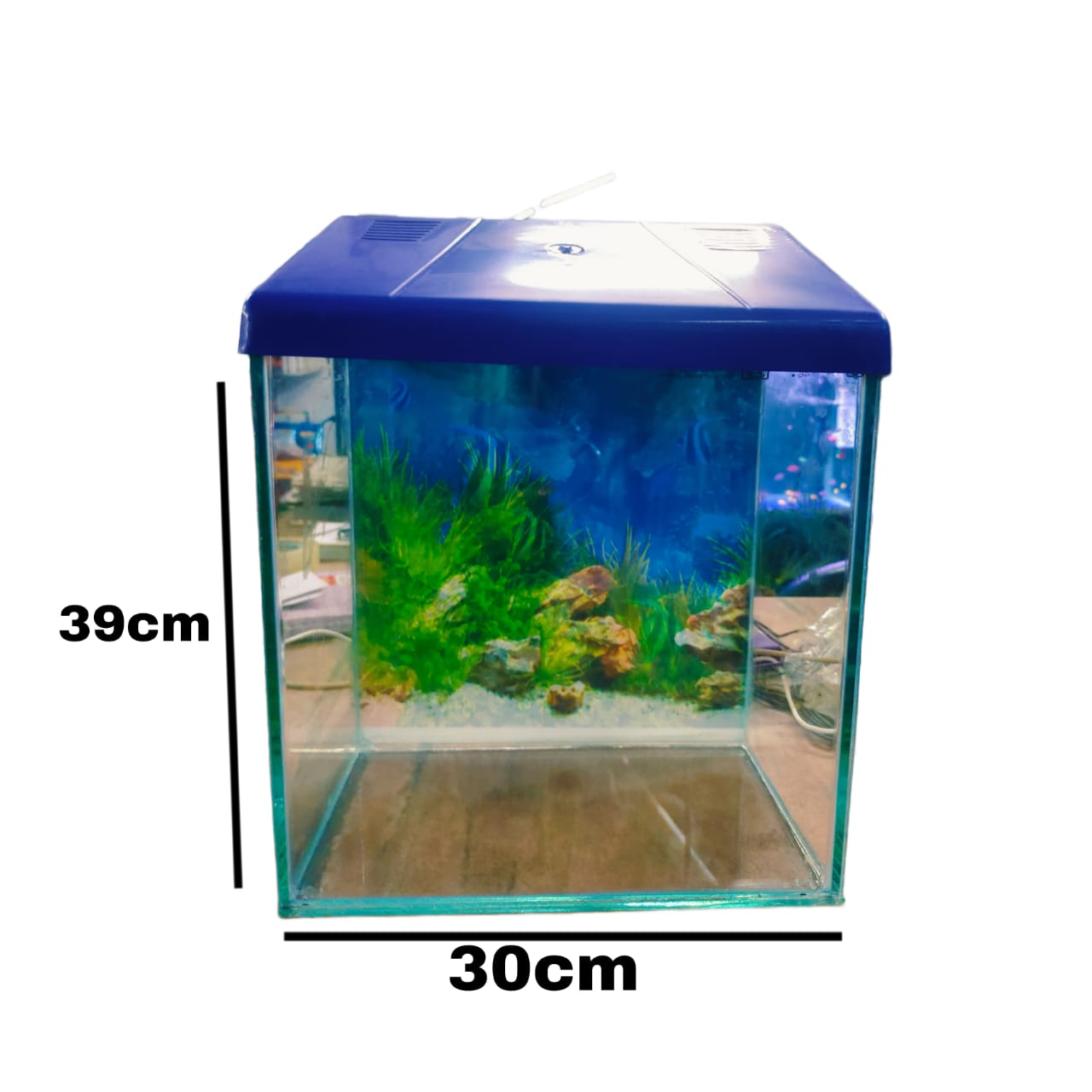glass aquarium