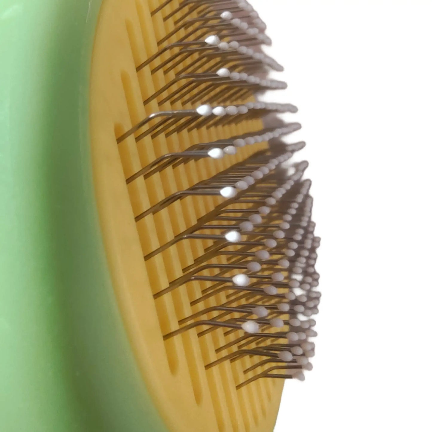 cat and dog brush Pet Grooming Brush jyoti aquarium pets