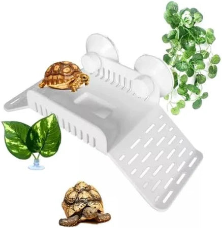 Turtle Basking Platform