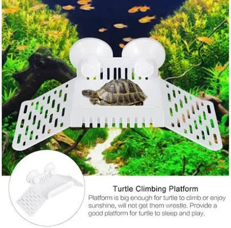 Turtle Basking Platform
