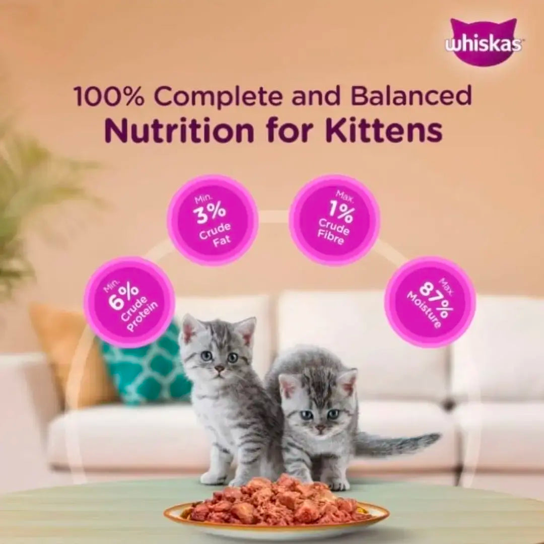 Whiskas Junior Kitten Wet Cat Food Chicken with Salmon in Jelly 10 piece jyoti aquarium pets