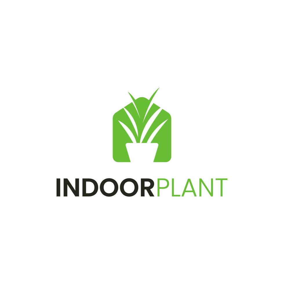 indoor plant