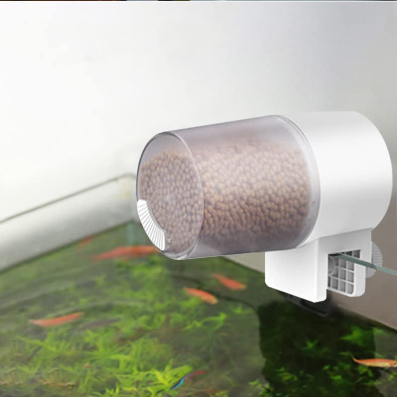 Auto Feeder