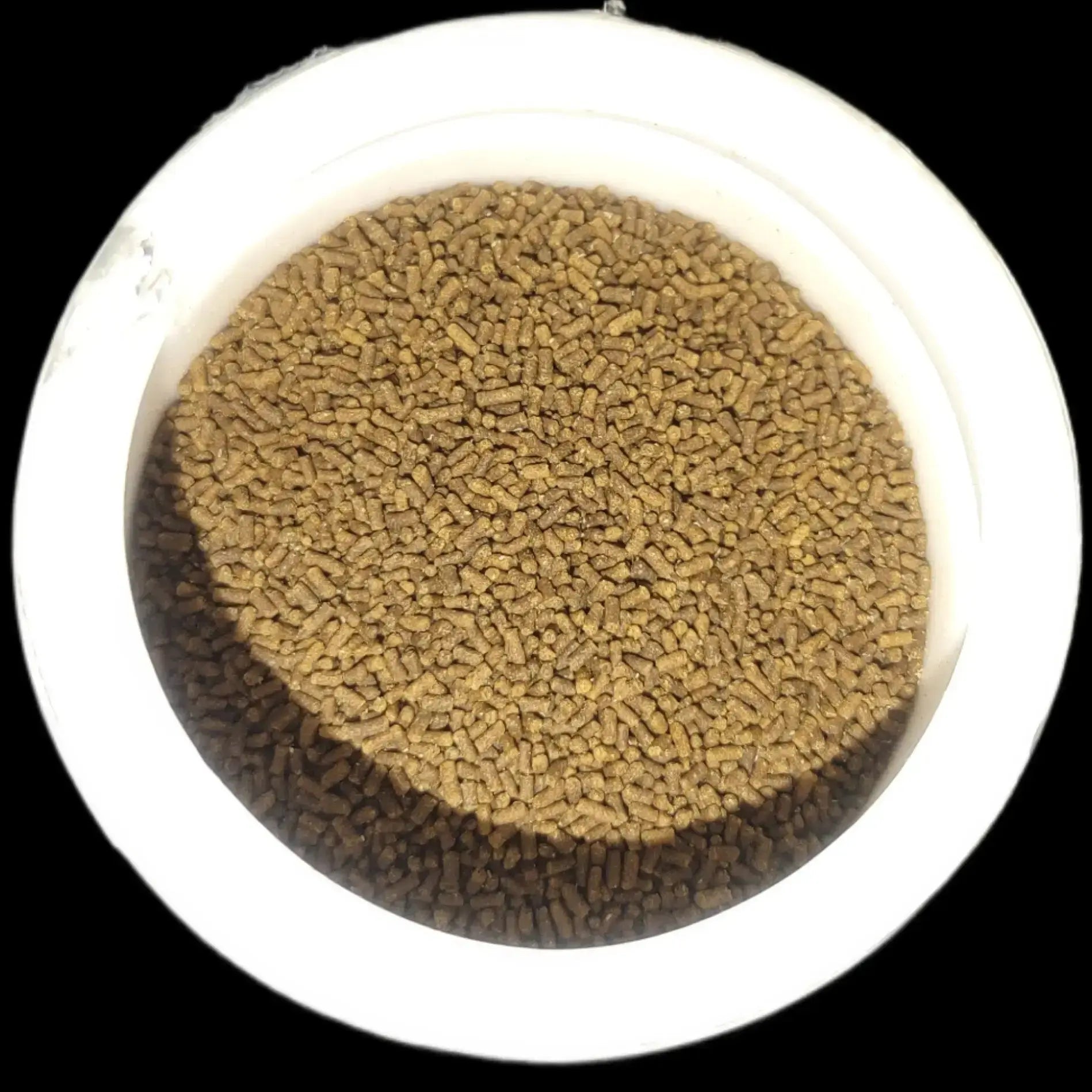 Complete gold hi protien micro feed jyoti aquarium pets