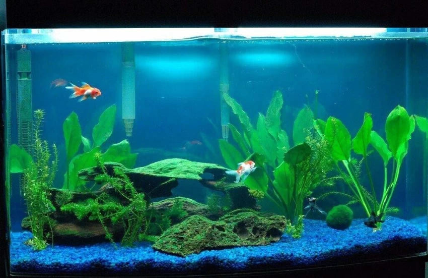 Blue Sand for Aquarium, Lawn, Garden, Plants 1kg jyoti aquarium pets