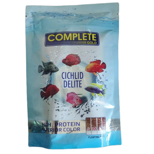 Complete gold cichlid delite jyoti aquarium pets